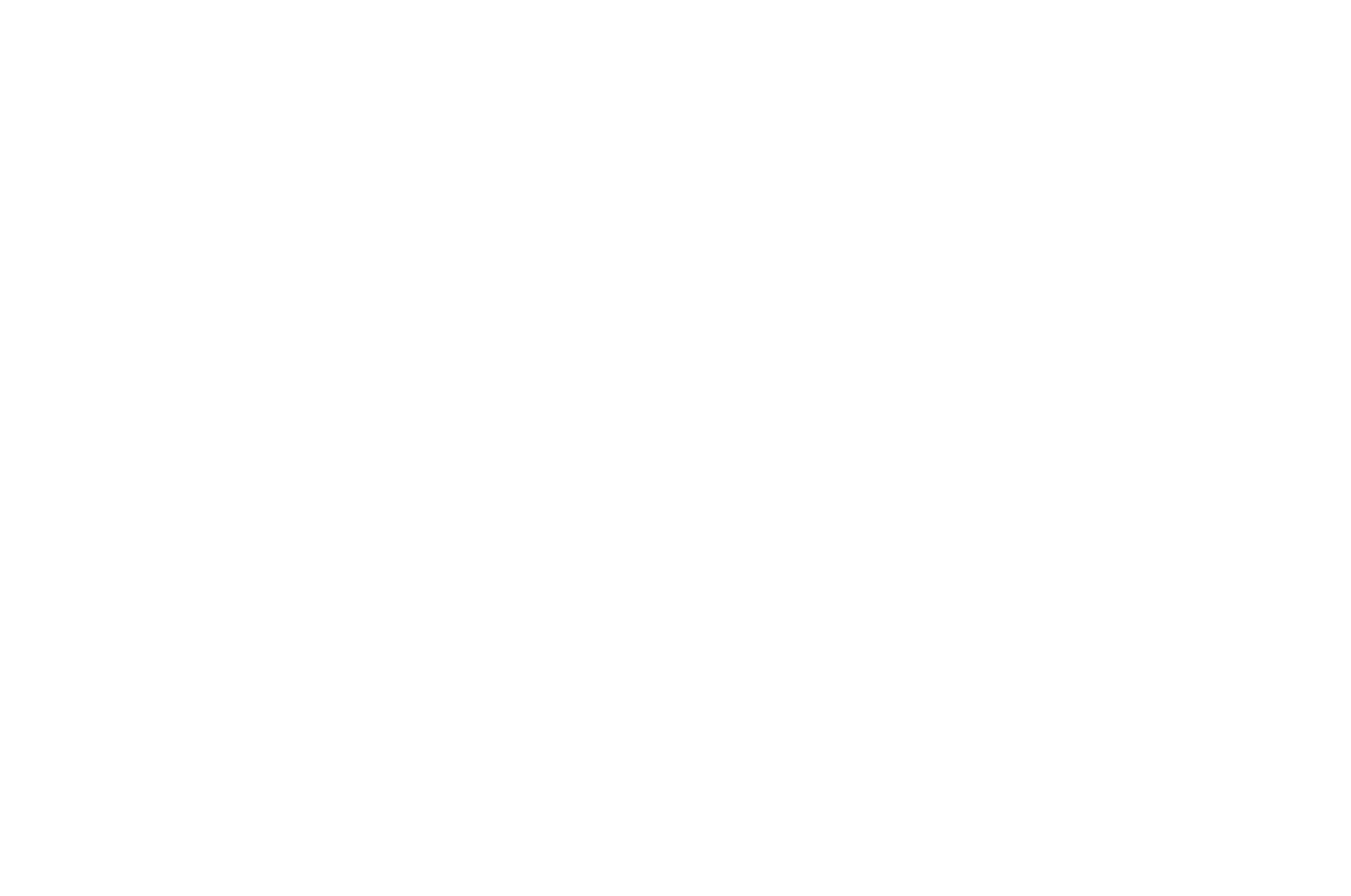 Winner Best Sci-Fi - FFF
