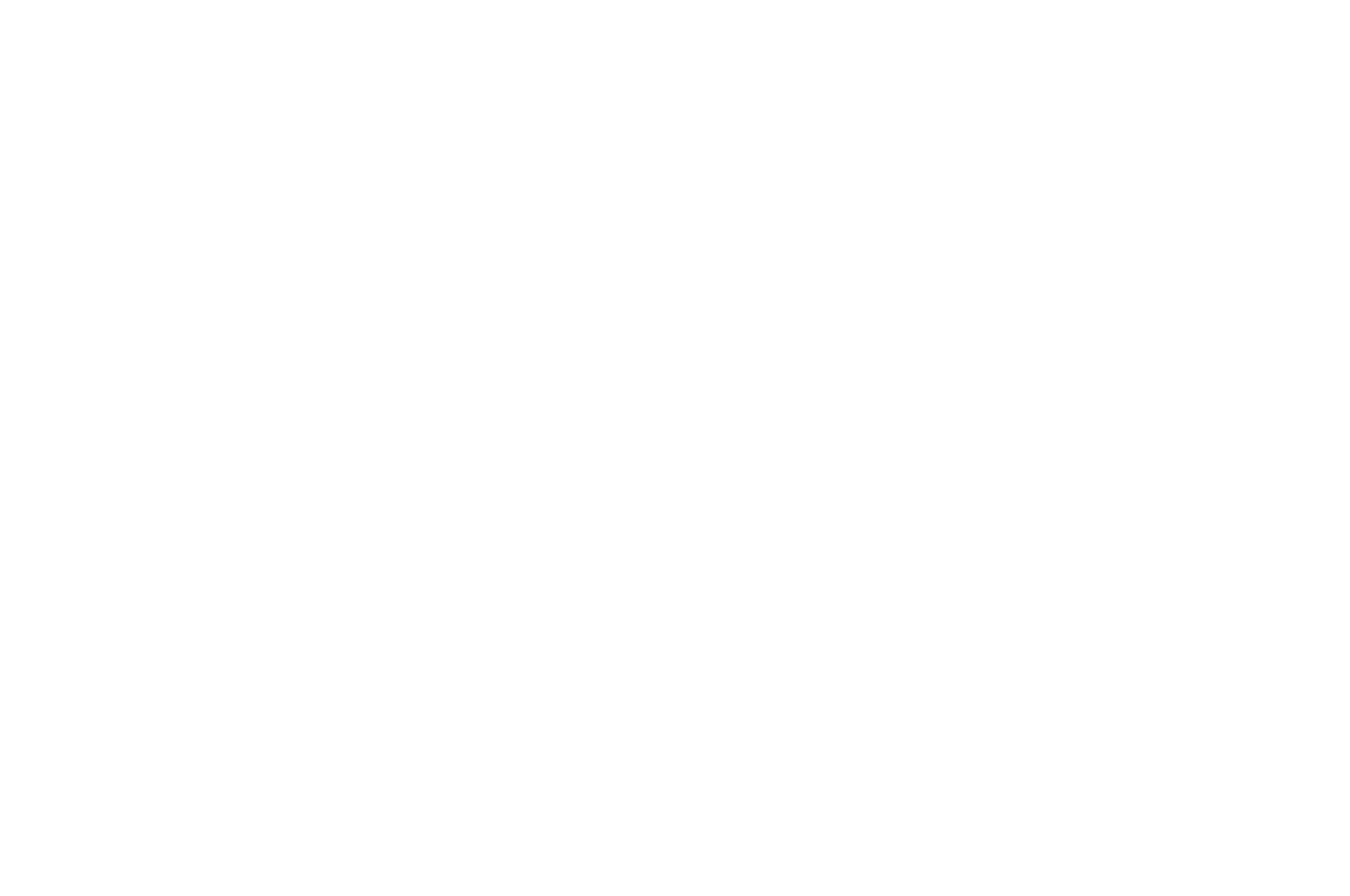 Honerable Mention Best Thriller - FIFF